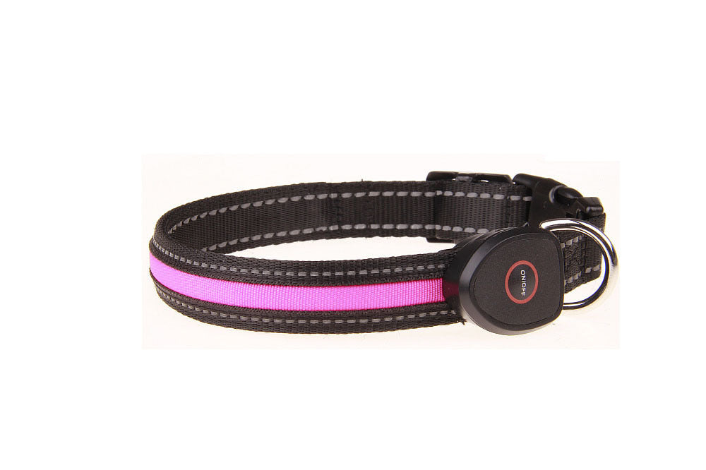 Best LED Collars for Night Walks