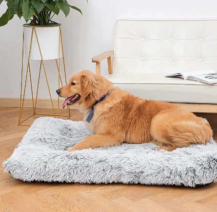 Furry Friend Sleep Haven – Memory Foam Comfort