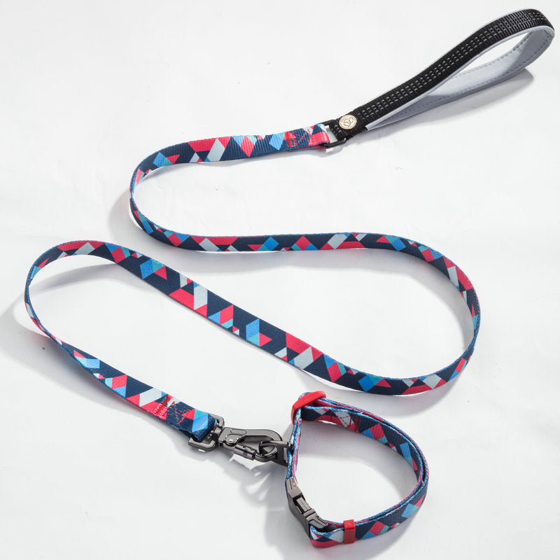 Pet leash and Collar set