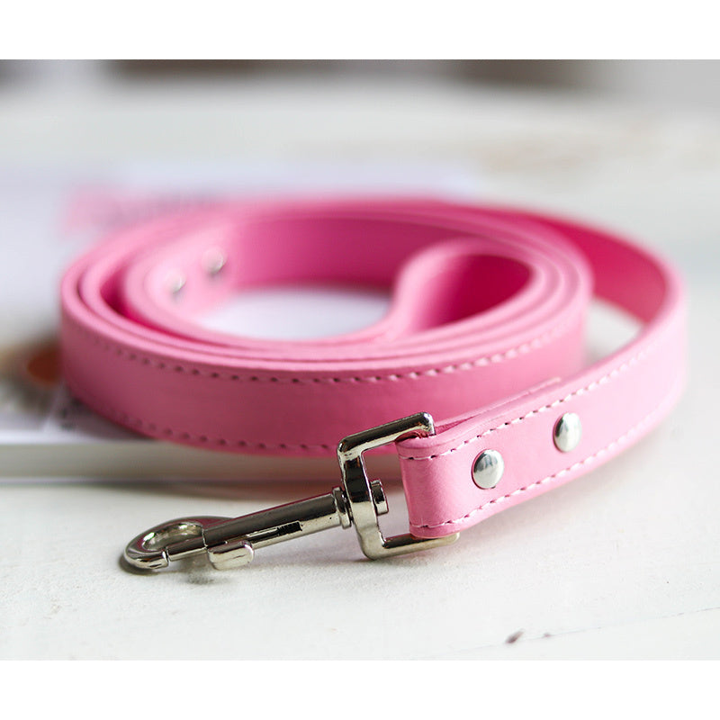 Pet Leash with Strong Clip – Easy Walking