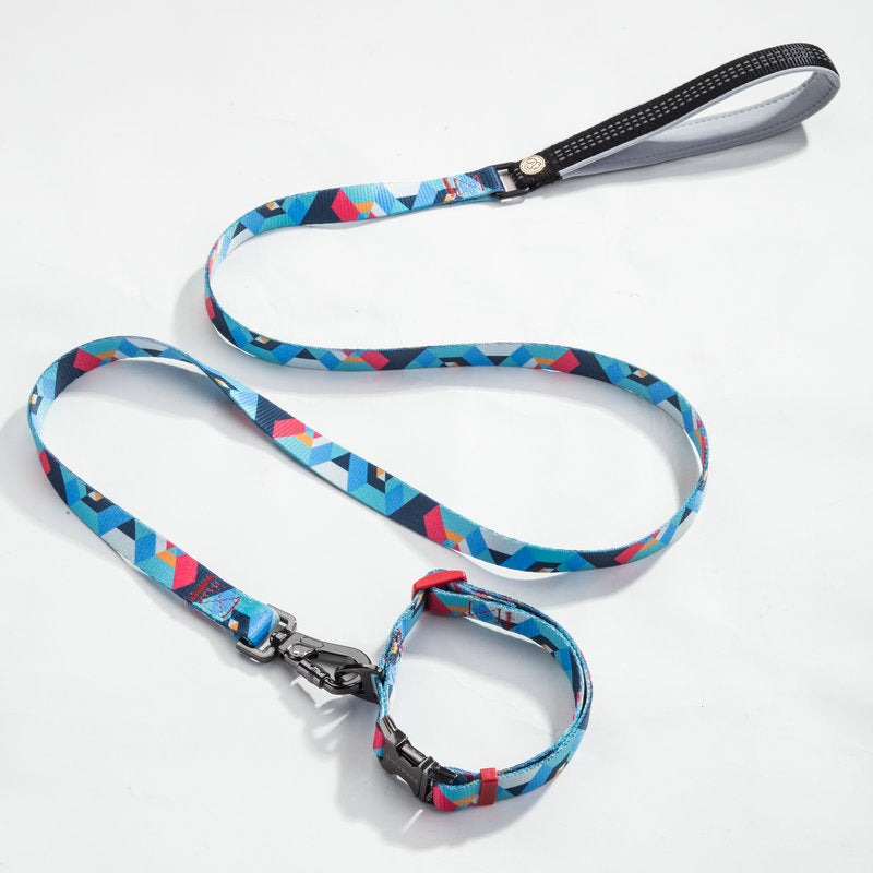 Pet leash and Collar set