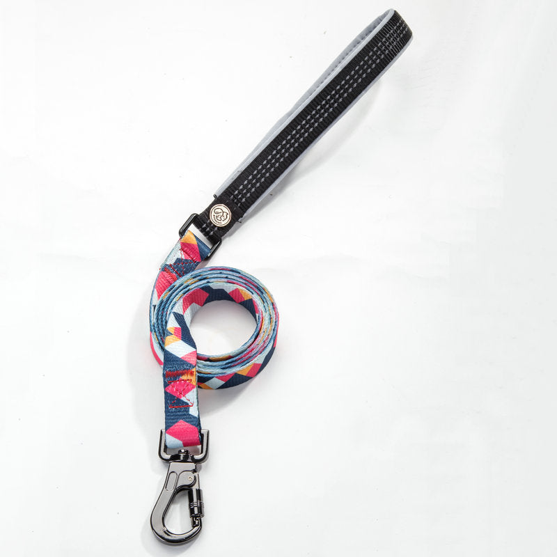 Pet leash and Collar set