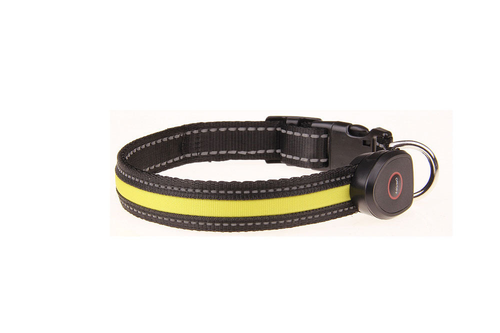Shine Bright: Luminous Pet Collar for Dogs