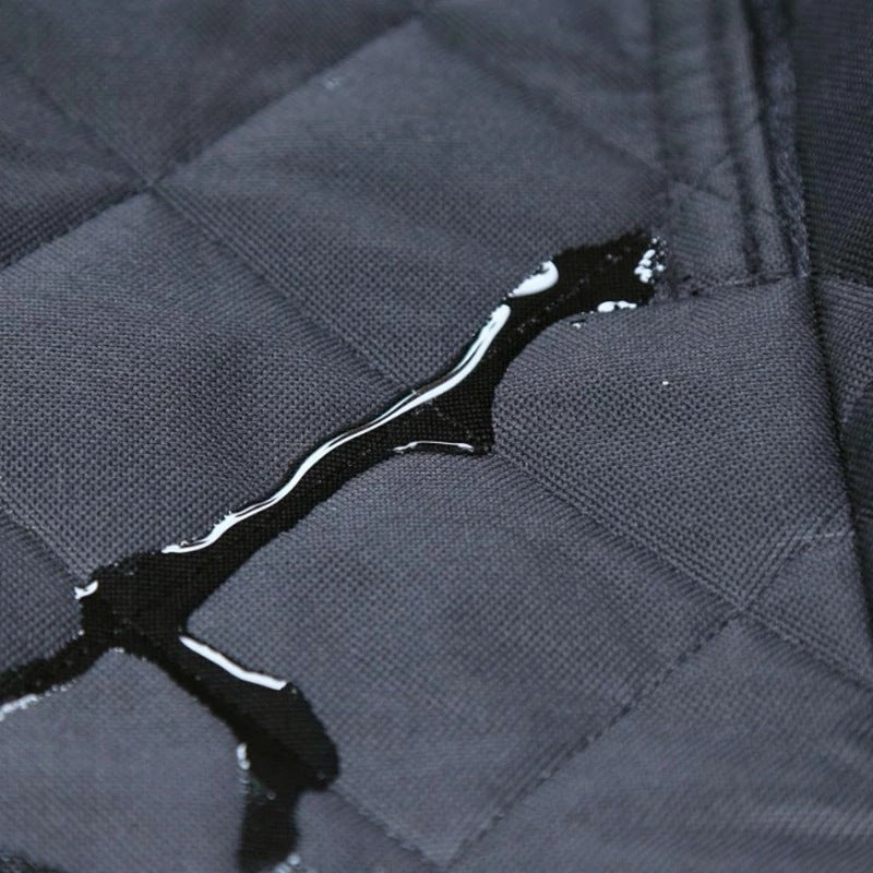 Tail-Wag Travel: Waterproof Dog Car Seat Mat