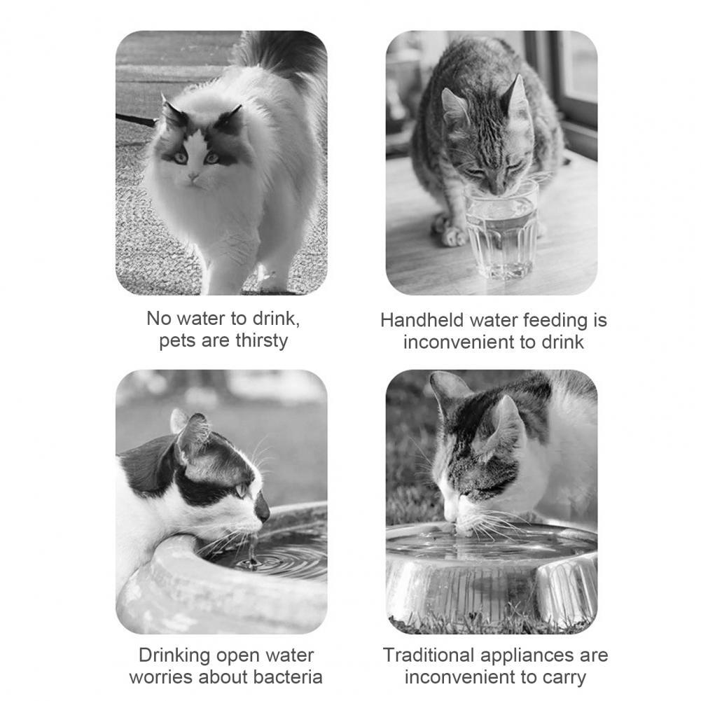 Pawfect Sip & Snack: 2-in-1 Pet Bottle