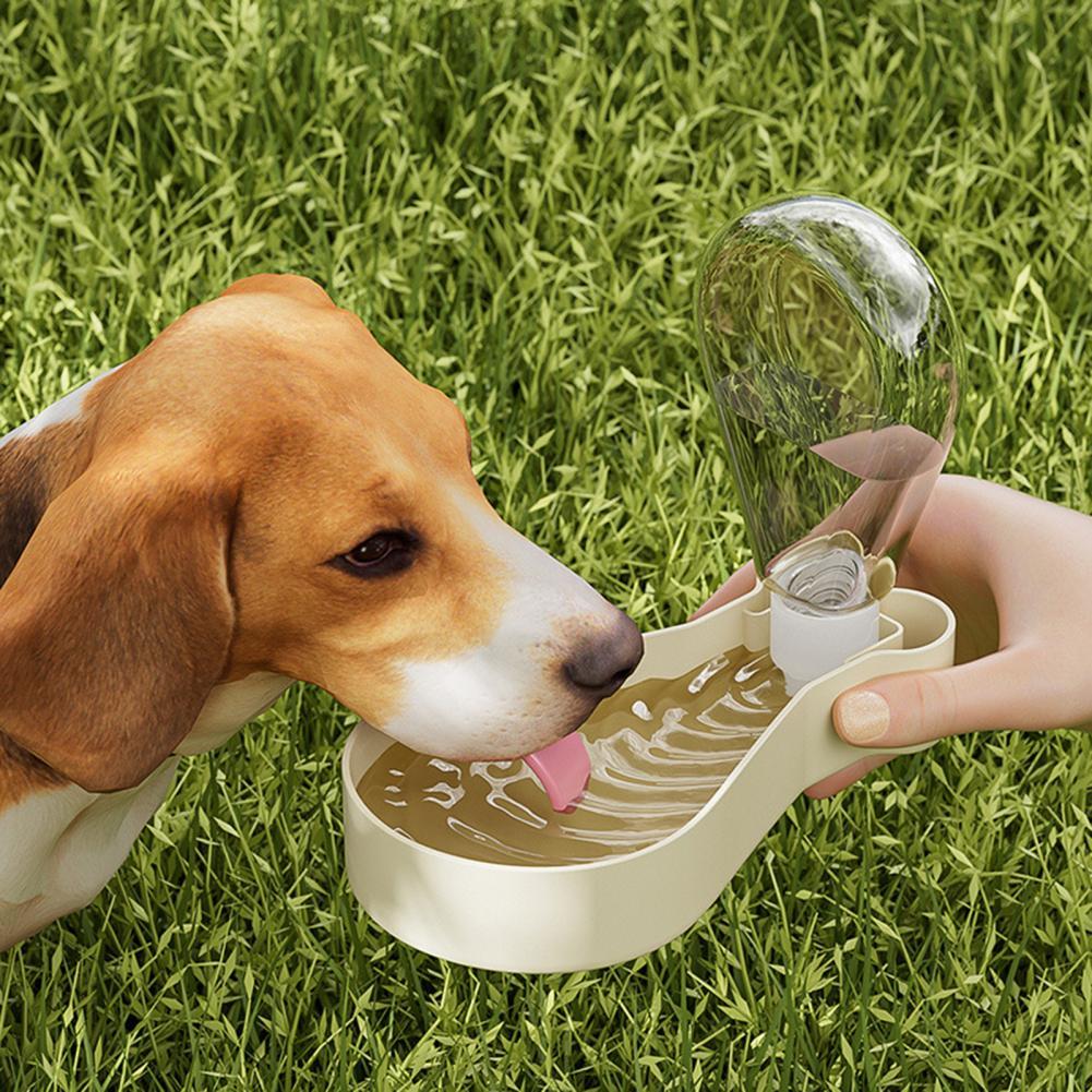 Pawfect Sip & Snack: 2-in-1 Pet Bottle