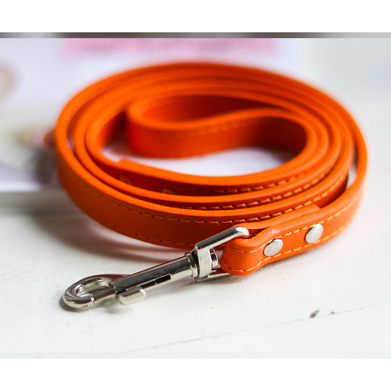 Pet Leash with Strong Clip – Easy Walking