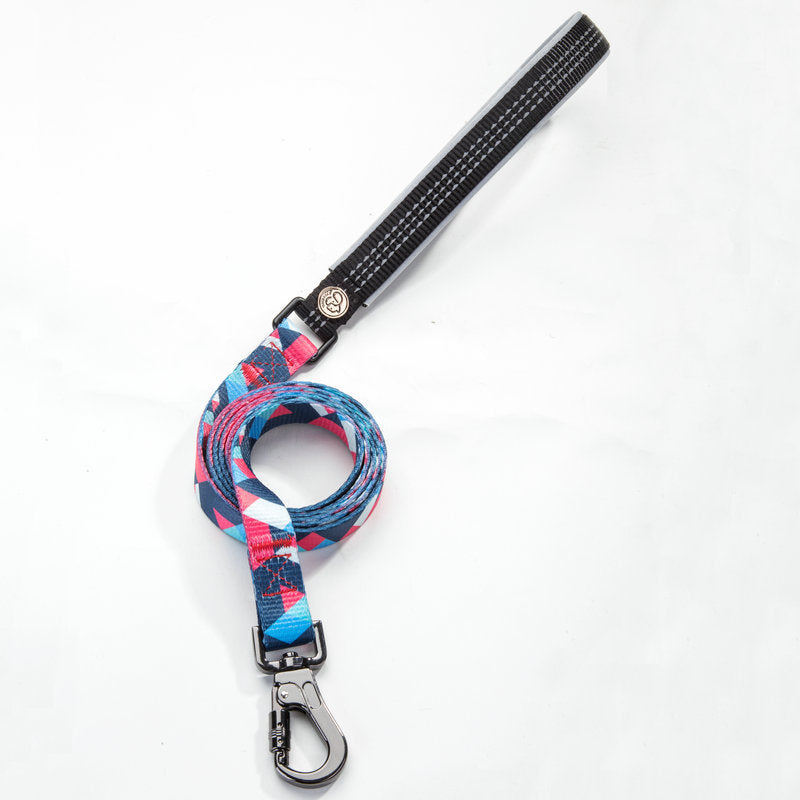 Pet leash and Collar set