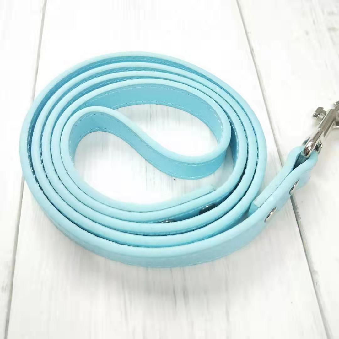 Pet Leash with Strong Clip – Easy Walking