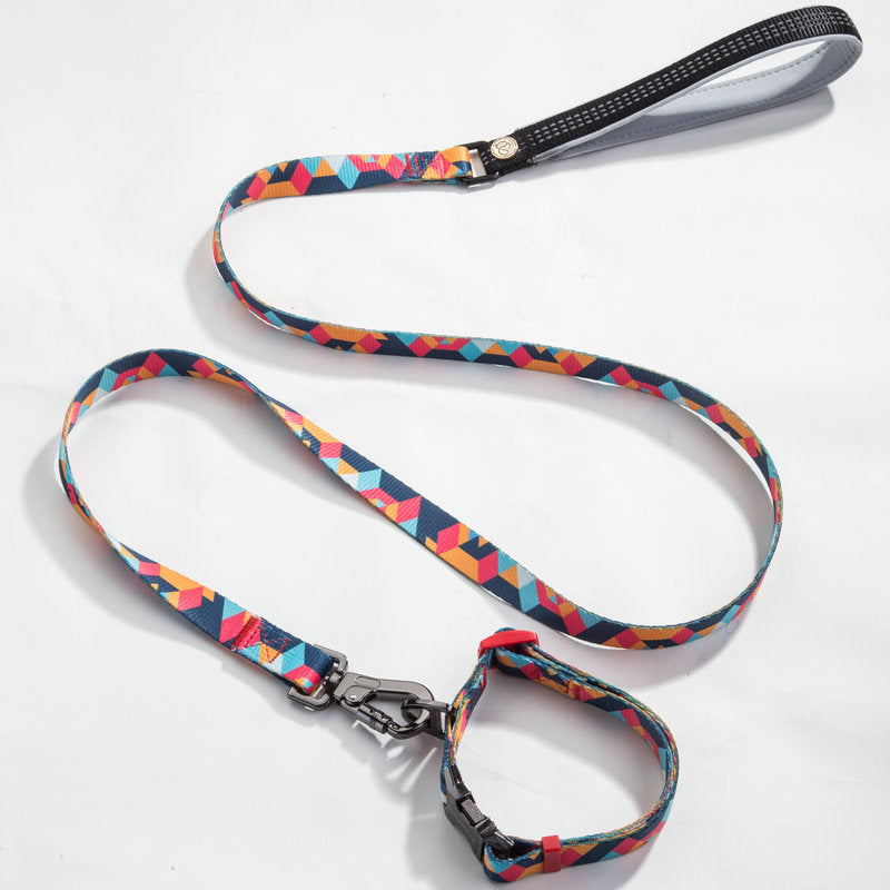 Pet leash and Collar set