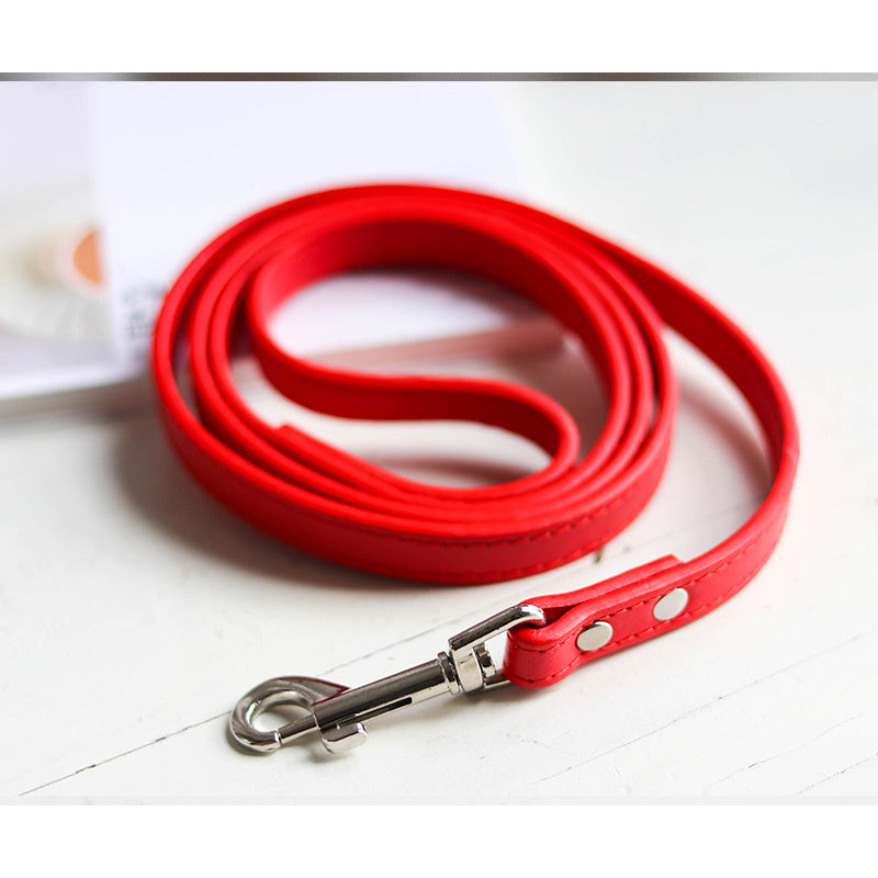 Pet Leash with Strong Clip – Easy Walking