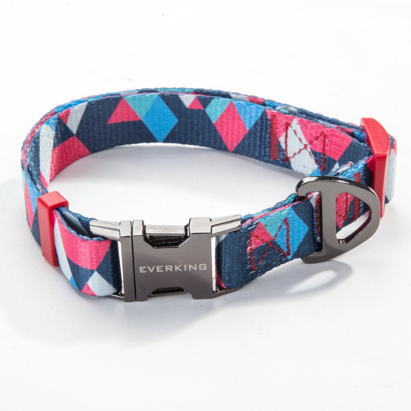Pet leash and Collar set