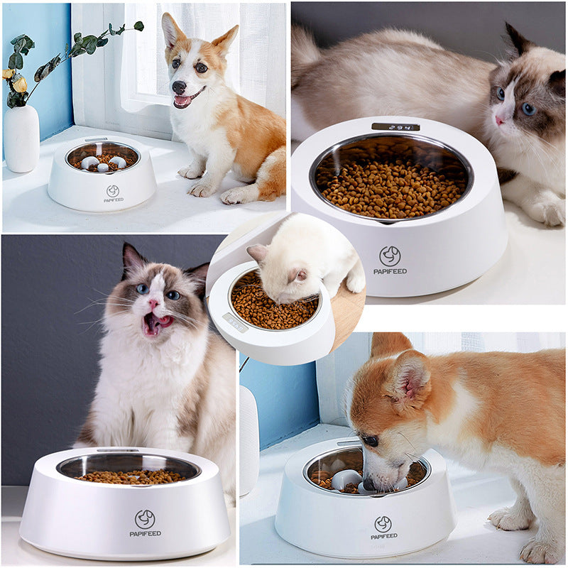 Pawfect Portions: Slow Feeder Smart Weighing Bowl
