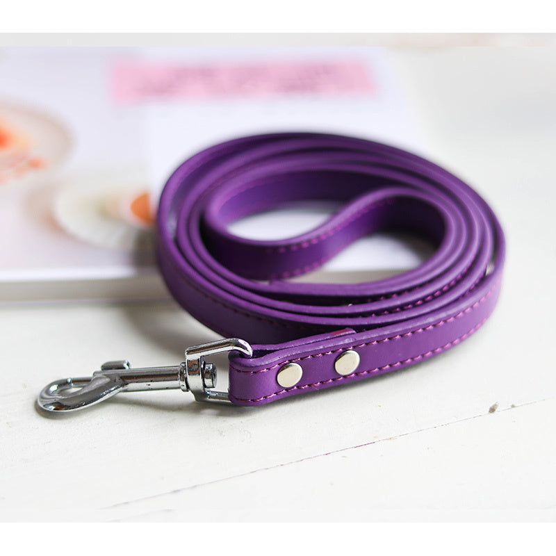 Pet Leash with Strong Clip – Easy Walking