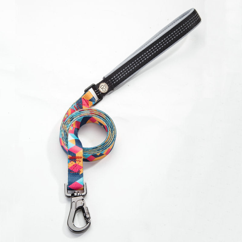 Pet leash and Collar set