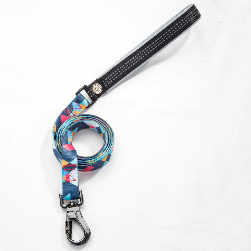 Pet leash and Collar set