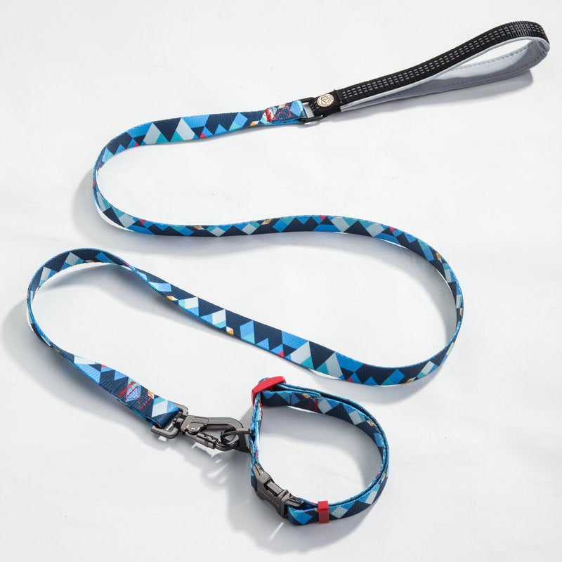 Pet leash and Collar set
