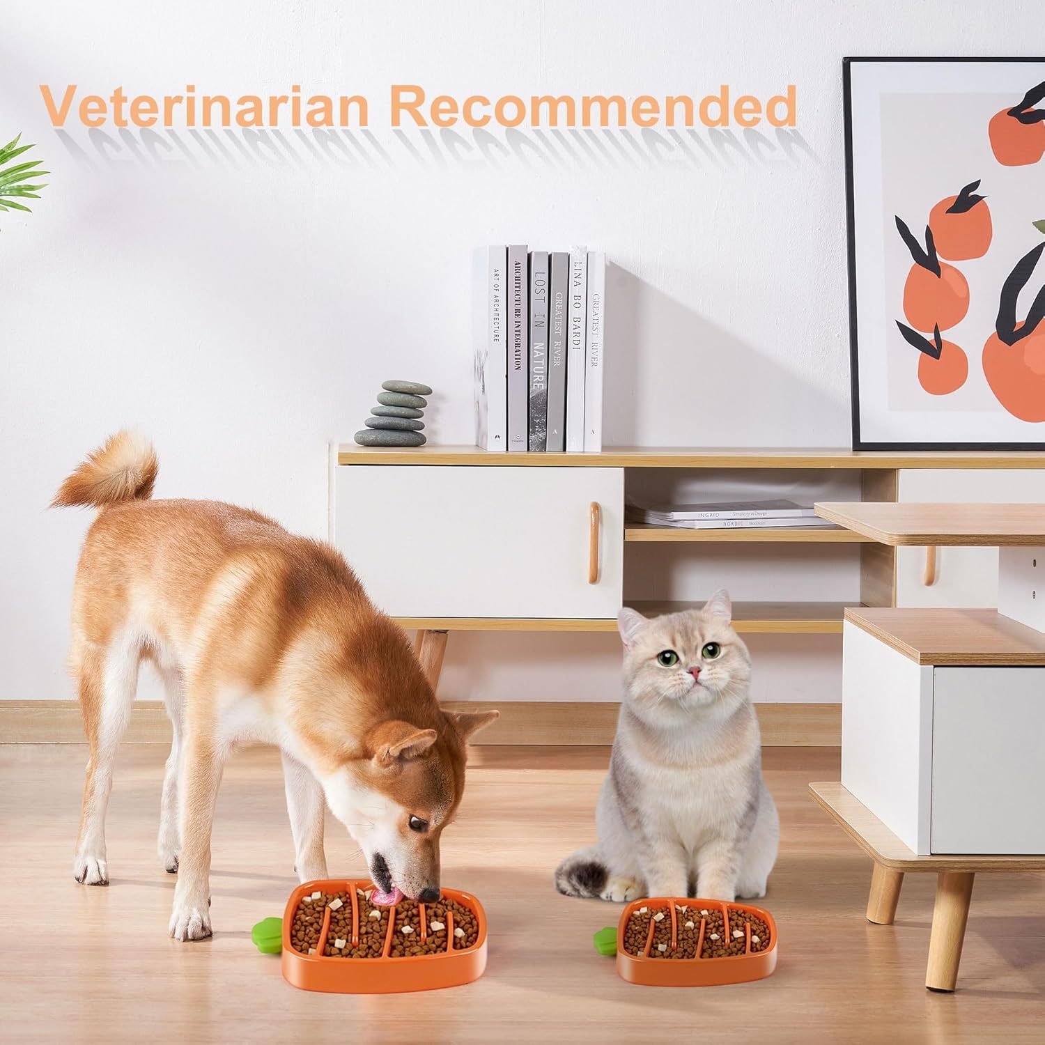 Smart Slow Feeder Bowl – Dry & Wet Food