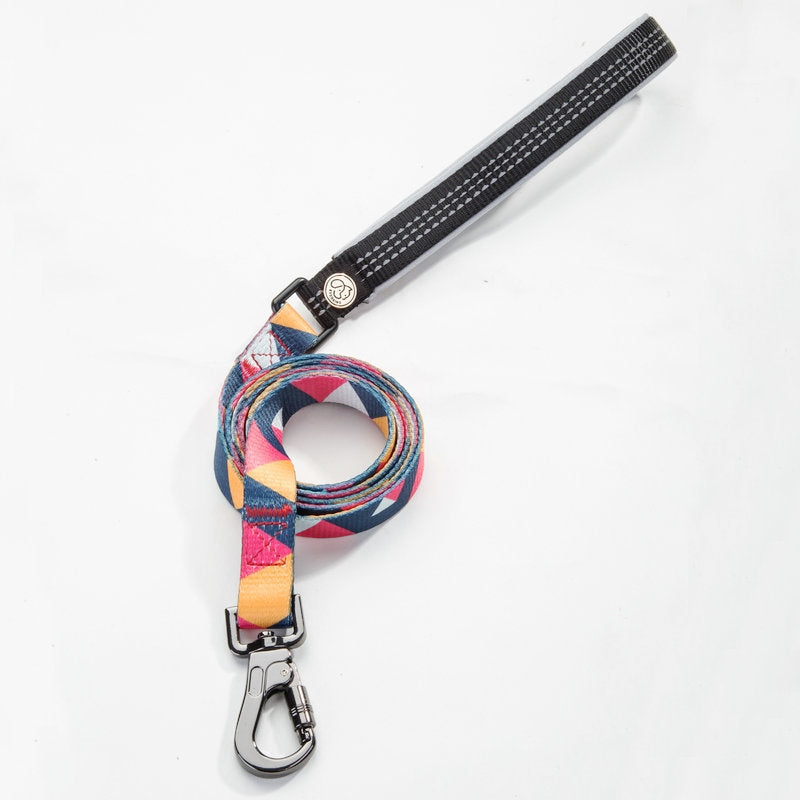 Pet leash and Collar set