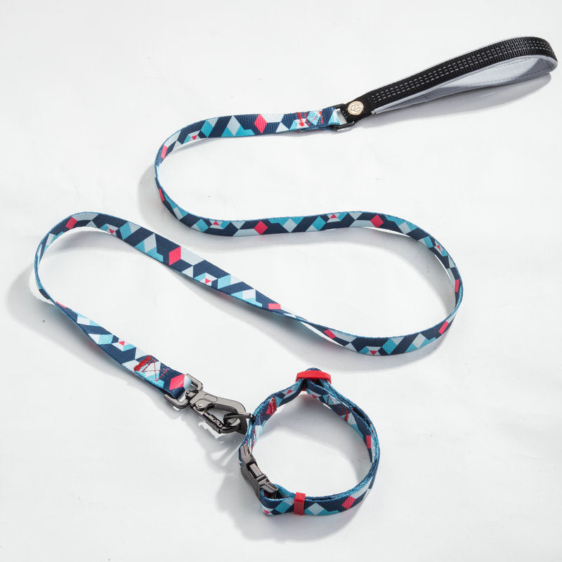 Pet leash and Collar set