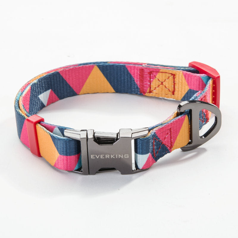 Pet leash and Collar set